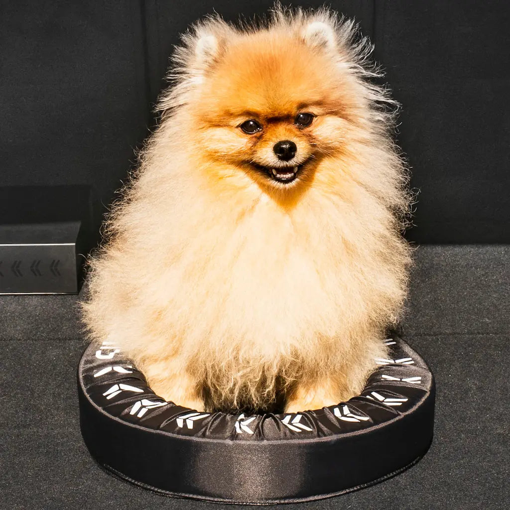 Happy customer using FlexiStick to secure delicate items